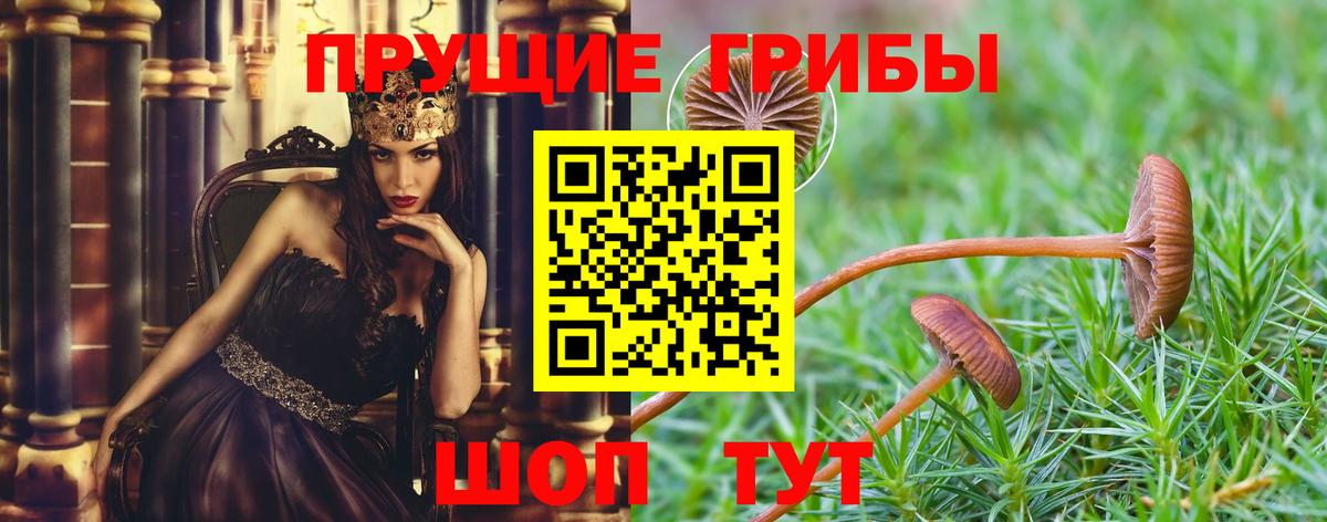Нефтекумск  Псилоцибиновые грибы мицелий  Вход с VPN 