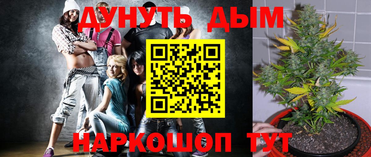 Марихуана OG Kush  Вход с VPN  Нефтекумск  Канабис план 